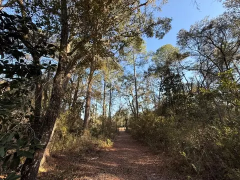 01 NE 126 St, Bronson, FL 32621