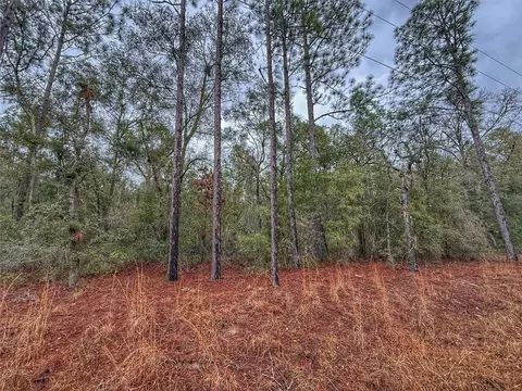 tbd NW Nw 18 Ter, Bell, FL 32619