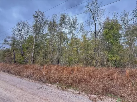 tbd NW 60 St NW, Bell, FL 32619