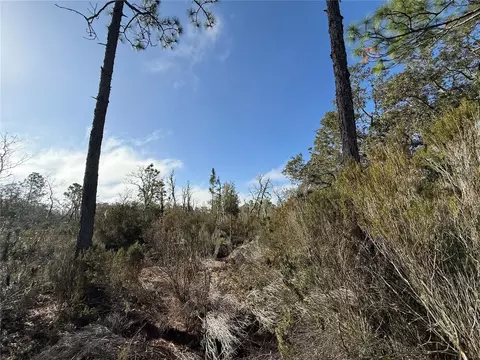 NE 56 Street, Bronson, FL 32621
