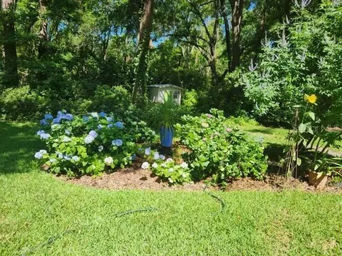 Exterior - 412 NW 46th St, Gainesville, FL 32607 photo 24 of 25