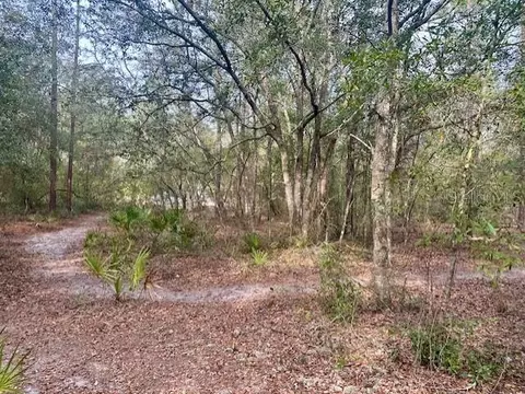 Nw 11th Avenue, Bell, FL 32619