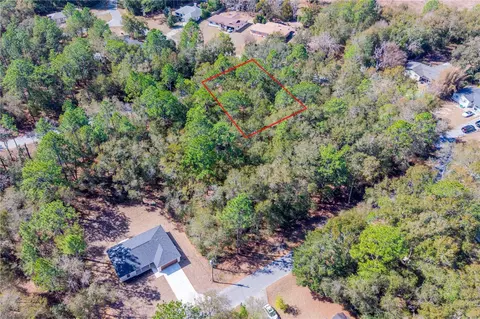 tbd NE 1st Pl #LOT 6, Williston, FL 32696 photo 4