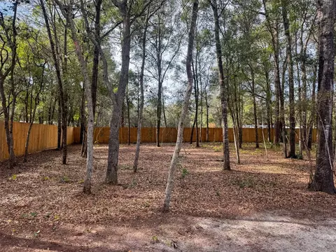 Exterior - 119 Pine Trl, Melrose, FL 32666 photo 7 of 8