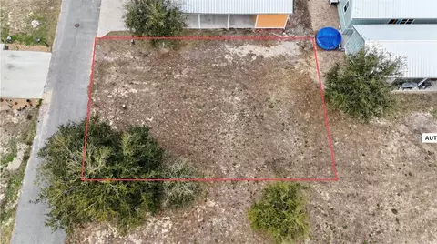 tbd SW 879th St, Steinhatchee, FL 32359 photo 17