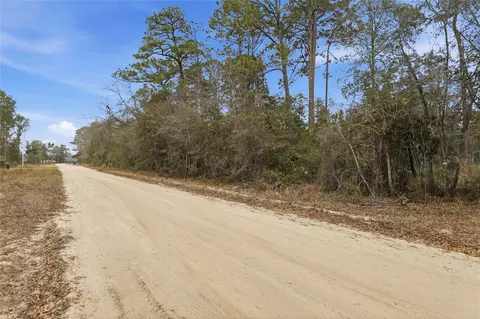 Sharon Street, Interlachen, FL 32148 photo 3