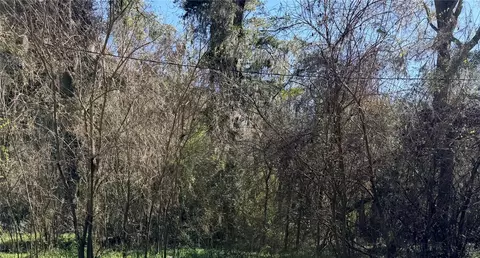 tbd Platted Road Way, Alachua, FL 32615