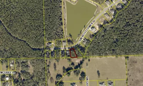 593 SW Bellflower Dr, Lake City, FL 32024