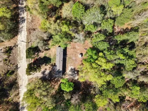 11061 NE 65th Ln, Williston, FL 32696 photo 23