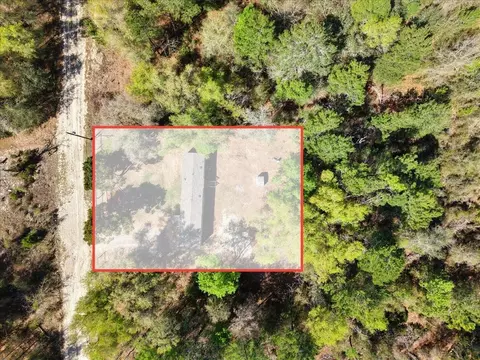 11061 NE 65th Ln, Williston, FL 32696 photo 27