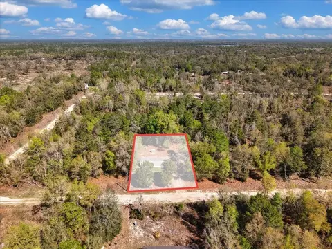 11061 NE 65th Ln, Williston, FL 32696 photo 26
