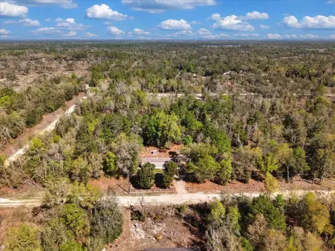 11061 NE 65th Ln, Williston, FL 32696 photo 25