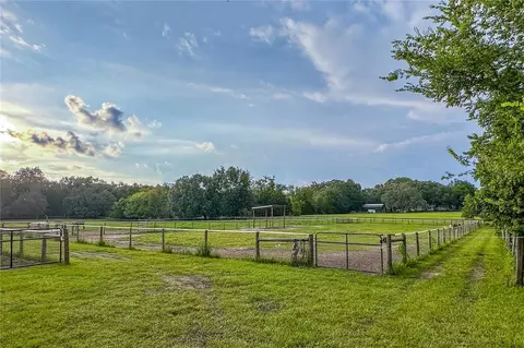 Other - 16242 NW 130th St, Williston, FL 32696 photo 4 of 37