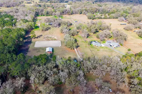 View/Area - 16242 NW 130th St, Williston, FL 32696 photo 11 of 11