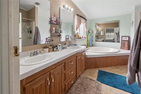 Bath - 16242 NW 130th St, Williston, FL 32696 photo 2 of 3