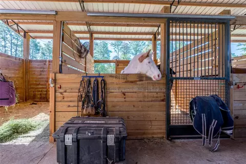 Other - 16242 NW 130th St, Williston, FL 32696 photo 14 of 37