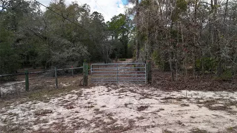 Other - 237 Highland Dr, Hawthorne, FL 32640 photo 1 of 11