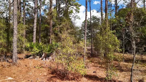 Other - 237 Highland Dr, Hawthorne, FL 32640 photo 4 of 11