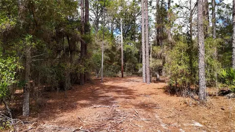 Other - 237 Highland Dr, Hawthorne, FL 32640 photo 3 of 11