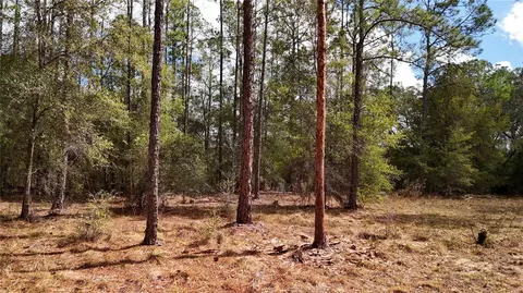 Other - 237 Highland Dr, Hawthorne, FL 32640 photo 5 of 11