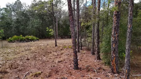 Other - 237 Highland Dr, Hawthorne, FL 32640 photo 2 of 11