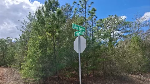 Fisher Run, Ocklawaha, FL 32183