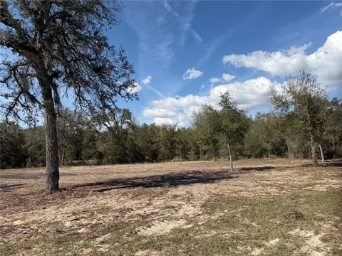 tbd NE 106th Ter, Bronson, FL 32621 photo 4