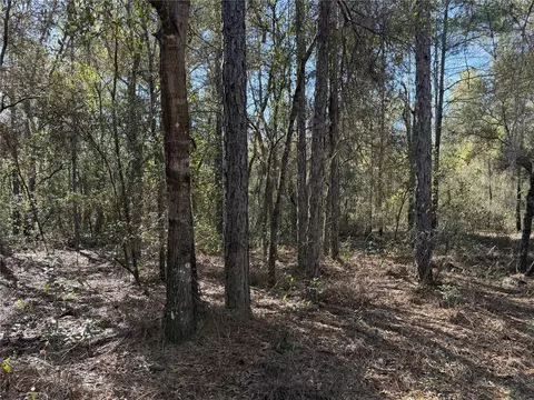 SE 7th Avenue, Interlachen, FL 32148 photo 3