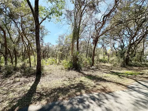 tbd NW 110th Cir #LOT 3, Chiefland, FL 32626