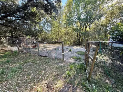 14051 NE 45th Pl, Williston, FL 32696 photo 24