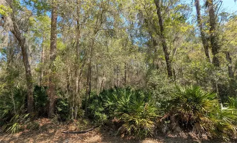 tbd NE County Road 234, Gainesville, FL 32641