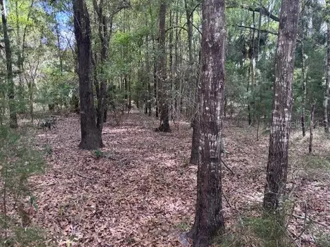 1 NW 77 Acres Nw 73 St, Chiefland, FL 32626