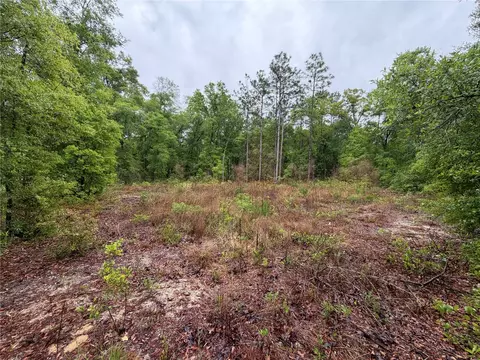 301 Rainbow Dr, Hawthorne, FL 32640