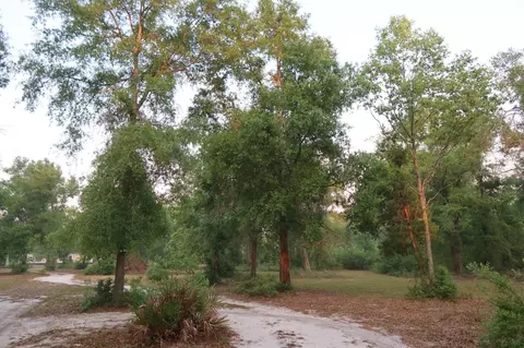 11533 E Us 90, Madison, FL 32340 photo 31