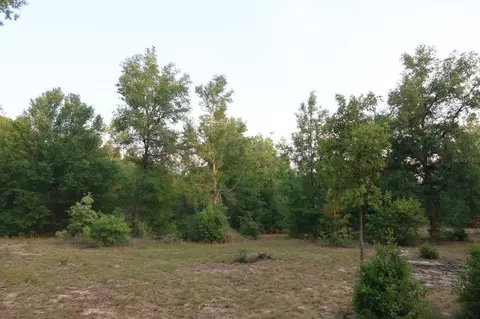 11533 E Us 90, Madison, FL 32340 photo 36