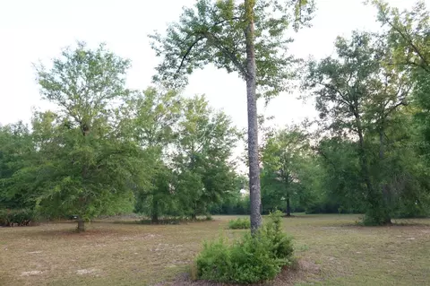 11533 E Us 90, Madison, FL 32340 photo 41