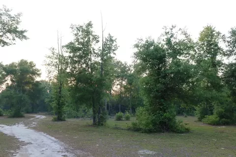 11533 E Us 90, Madison, FL 32340 photo 38