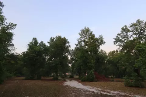 11533 E Us 90, Madison, FL 32340 photo 30