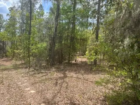 181 Whirlwind Loop, Hawthorne, FL 32640 photo 6