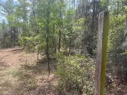 181 Whirlwind Loop, Hawthorne, FL 32640 photo 5