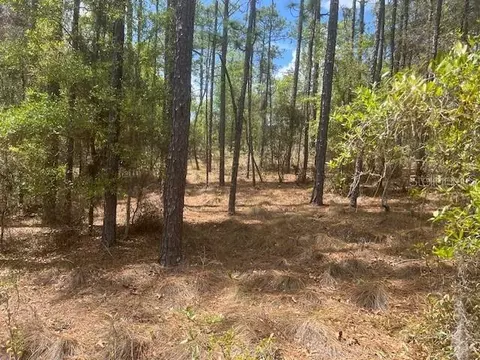181 Whirlwind Loop, Hawthorne, FL 32640 photo 4