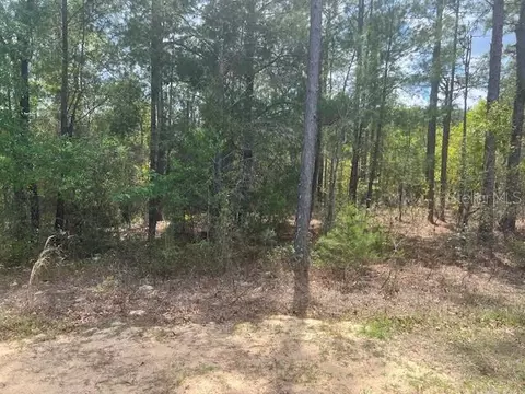 181 Whirlwind Loop, Hawthorne, FL 32640 photo 3