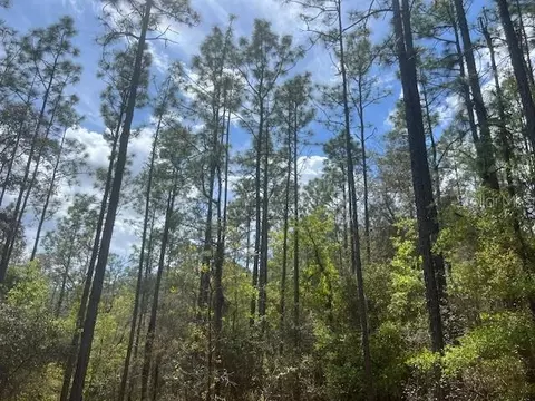 181 Whirlwind Loop, Hawthorne, FL 32640 photo 2
