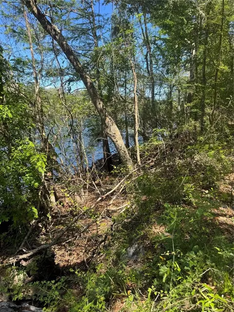 tbd SW 25 Pl, Bell, FL 32619