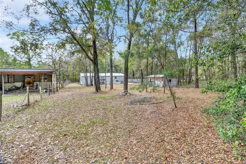 14395 NE 50th Pl, Williston, FL 32696 photo 21