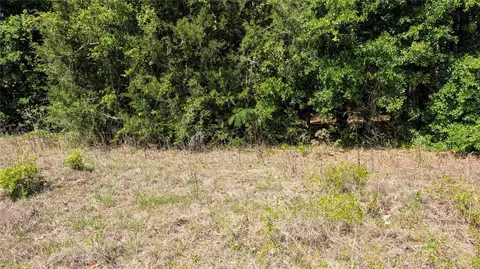 Se Cr 337, Trenton, FL 32693