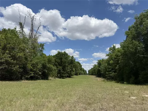 0 NW 140th St, Chiefland, FL 32626