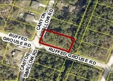 0 Canyon Swallow Rd, Weeki Wachee, FL 34614
