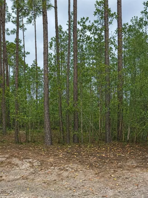 tbd NW 2nd Ave, Palatka, FL 32177