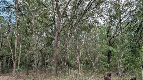 tbd NE 108th Pl, Waldo, FL 32694